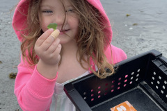 Nature_DaphneSeaglass2023_TarOlshaw
