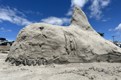 SandcastleBuildingJohnBauman2023_LSS-32